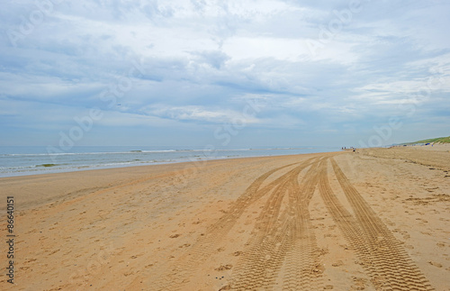 Beach along the dutch coast in summer