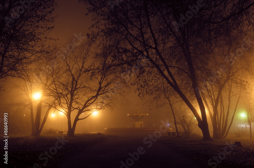 The old park in fog. Russia  Cherepovets