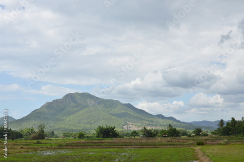 paddy and mountain