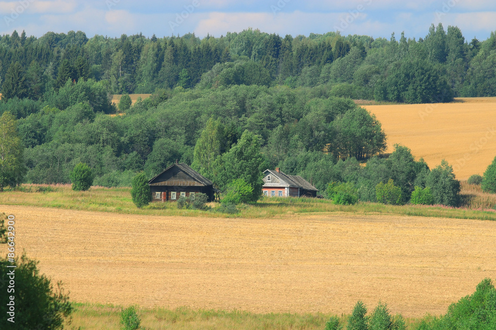 road in summer field road in summer field