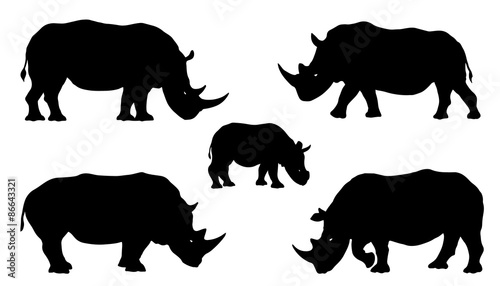 Photo rhino silhouettes