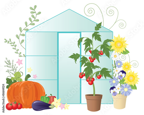 summer bounty