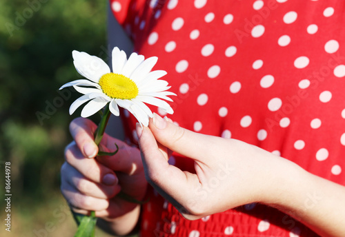 Fototapeta Naklejka Na Ścianę i Meble -  Woman guesses on chamomile flower, ourdoor
