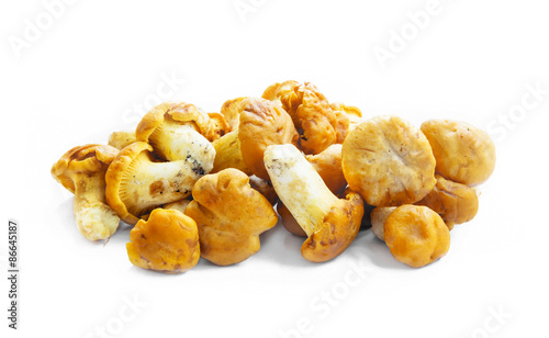 Chanterelle Mushrooms Isolated