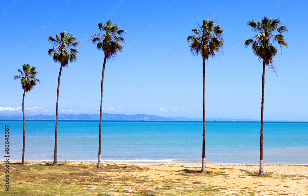 Fototapeta premium Tunisia, the beach near Carthage