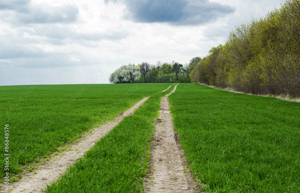  land road in the green  field