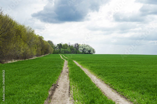 land road in the green field