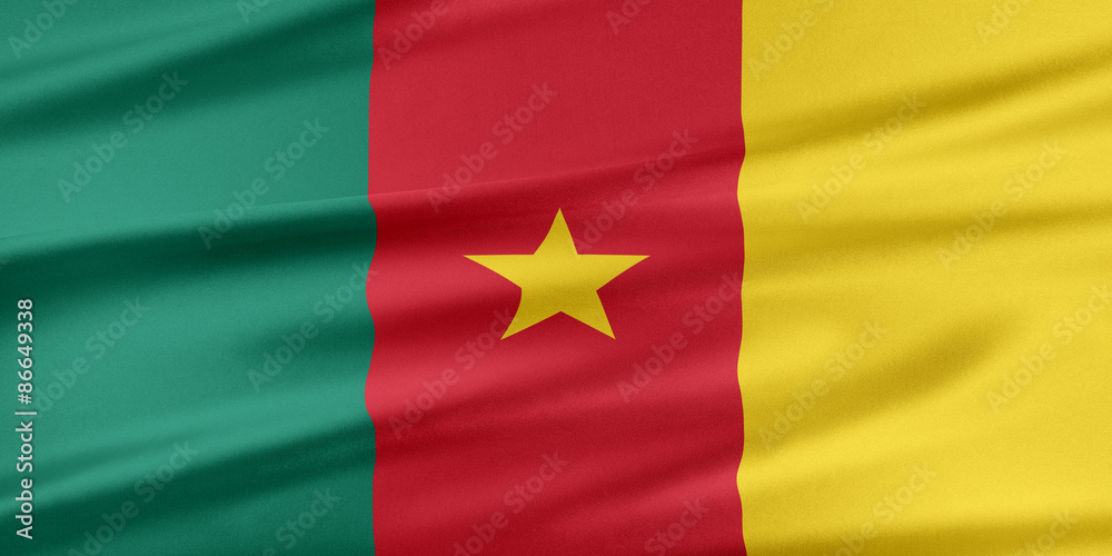 Obraz premium Cameroon Flag.