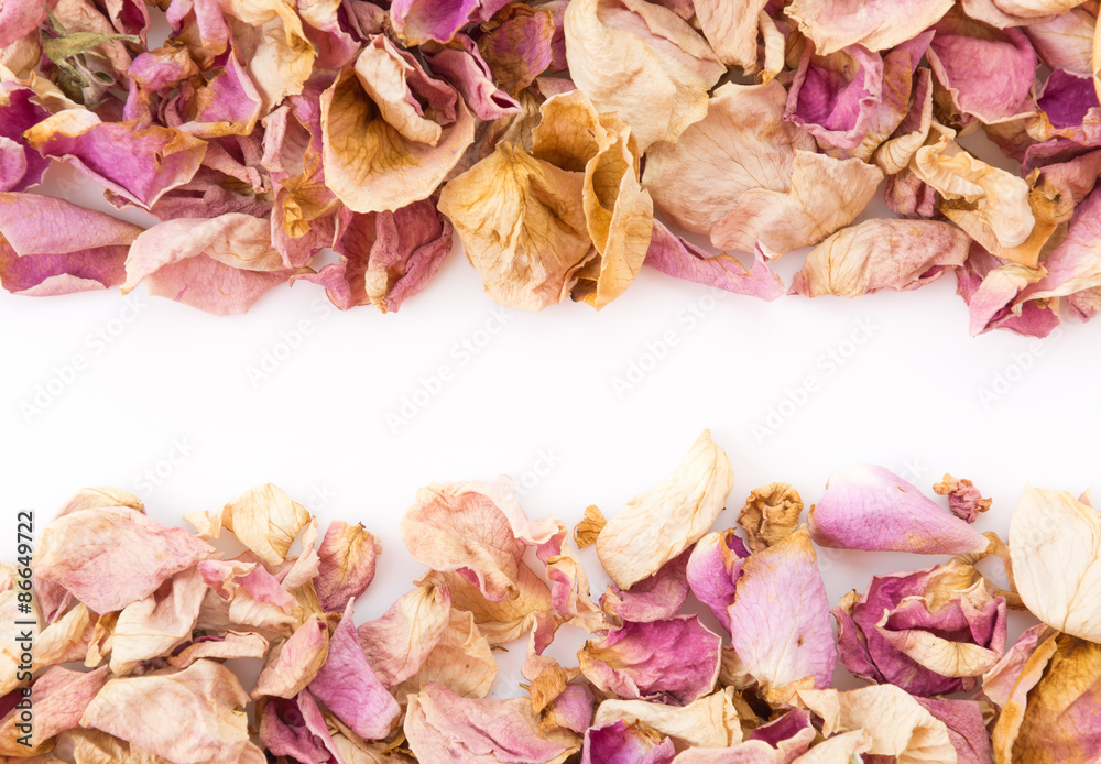 Fototapeta premium dry pink and white rose petal
