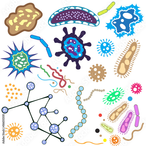 Bacteria, microorganism and virus cells isolated on white