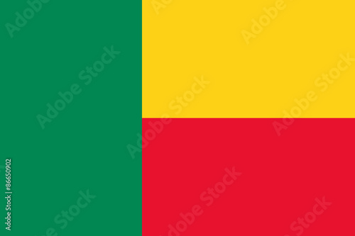 Benin flag vector
