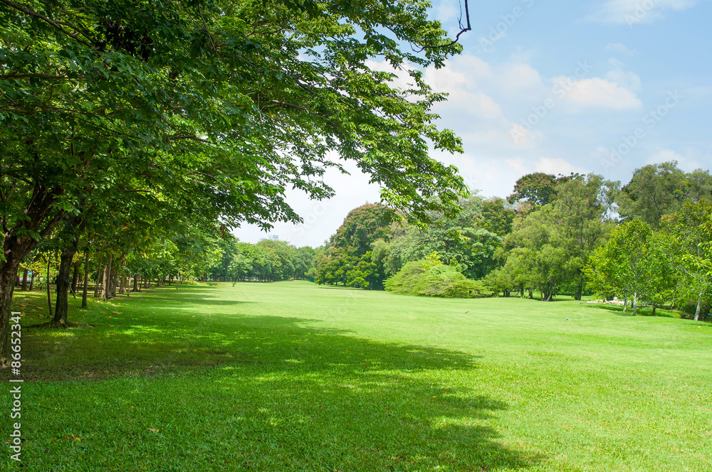 green grass field in big city park green grass field in big city park
