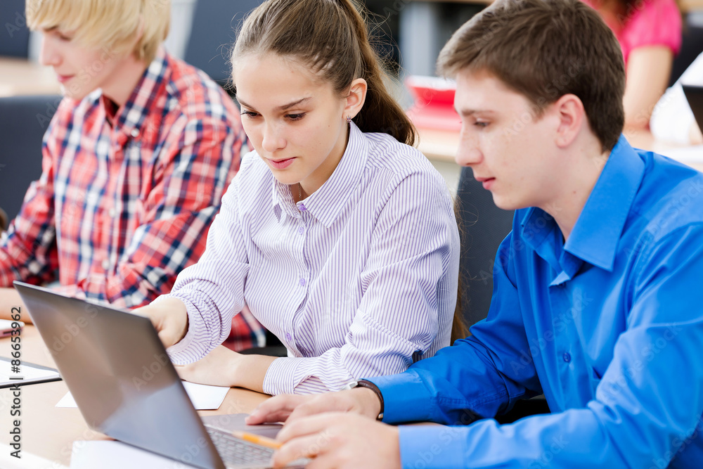 Fototapeta premium Students at lesson