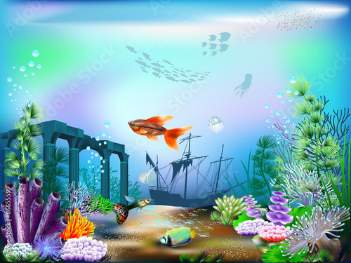 The underwater world of fish and plants 