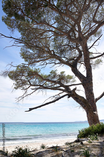 Fototapeta Naklejka Na Ścianę i Meble -  plage de Corse du sud