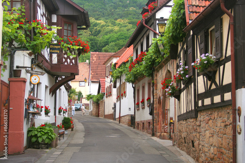 Germania,Palatinato,il paese di Hambach