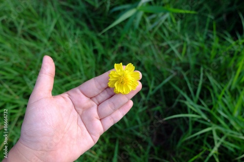 flower on hand