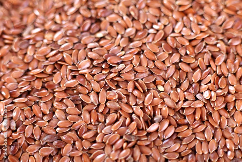 Flax close up shot Flax close up shot