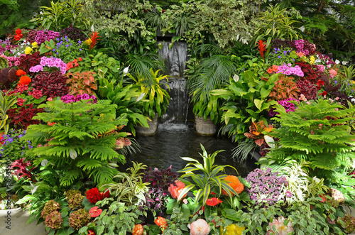 Fototapeta Naklejka Na Ścianę i Meble -  Colorful tropical garden