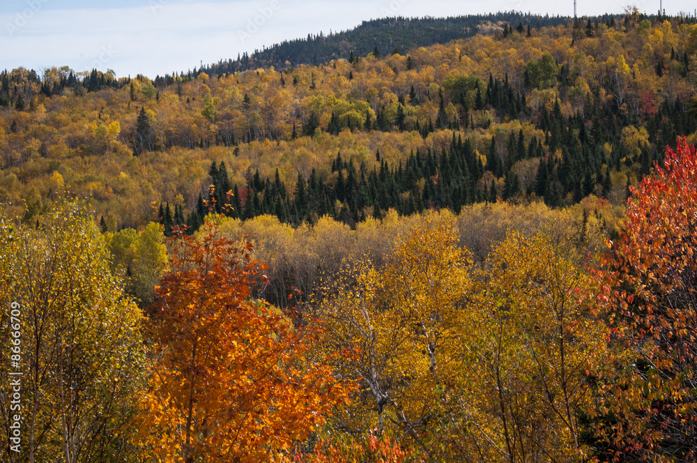 autumn colors Algonquin parc Canada, Indian Summer