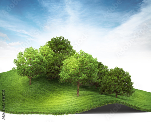3d rendered illustration of an hill with grove.