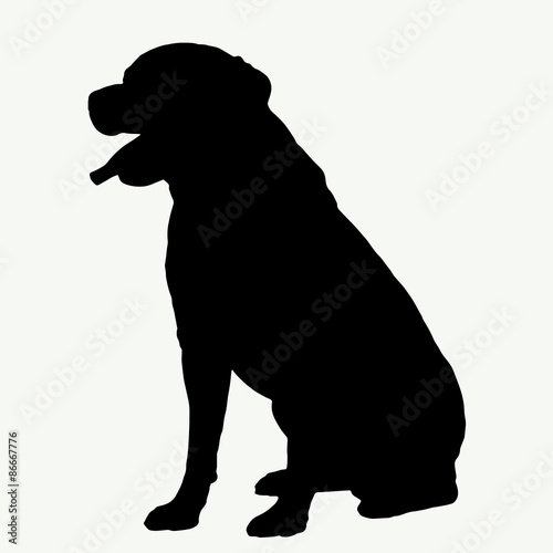  Dog silhouette on white background