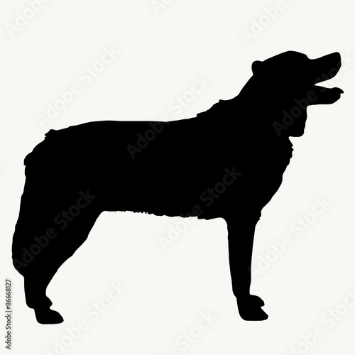 Dog silhouette on white background