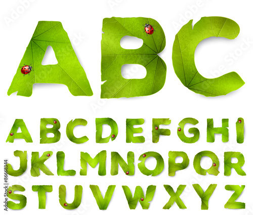 Vector alphabet letters made from green leaves, isolated on white