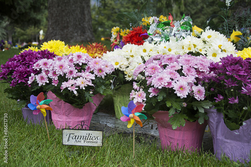 Memorial Day flowers and Families are Forever plaque