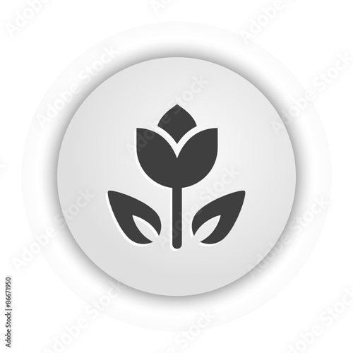 App Button