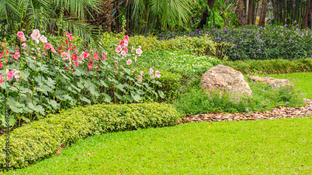 Naklejka premium Beautiful Hollyhock Flowers and Stone in Garden.