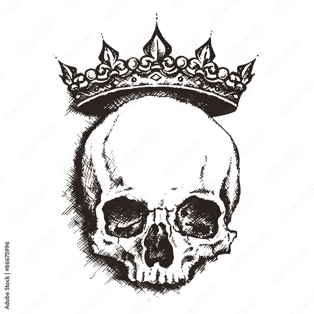 Obraz premium skull. drawing style. vector illustration