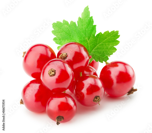 red currants isolated on the white background photo