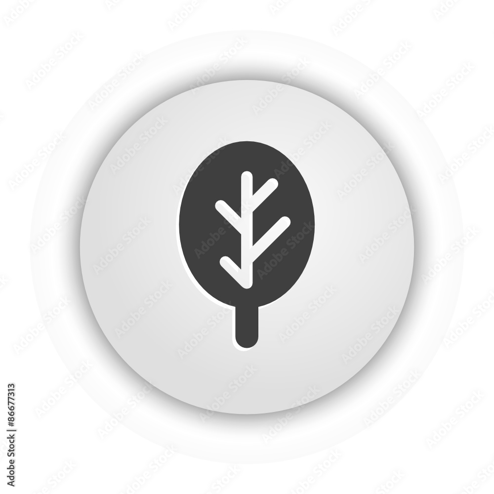 Fototapeta premium App Button