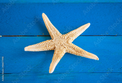 Seastar on blue wooden background