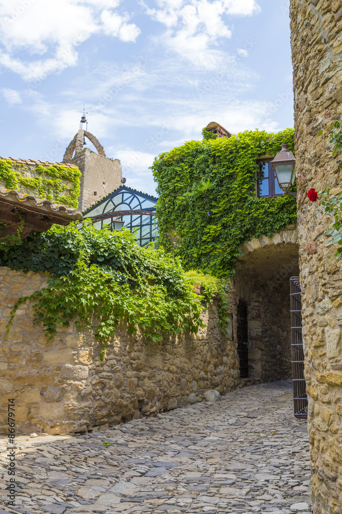 Medieval street covered on green leaves in Peretallada, Catalonia. Medieval street covered on green leaves in Peretallada, Catalonia.
