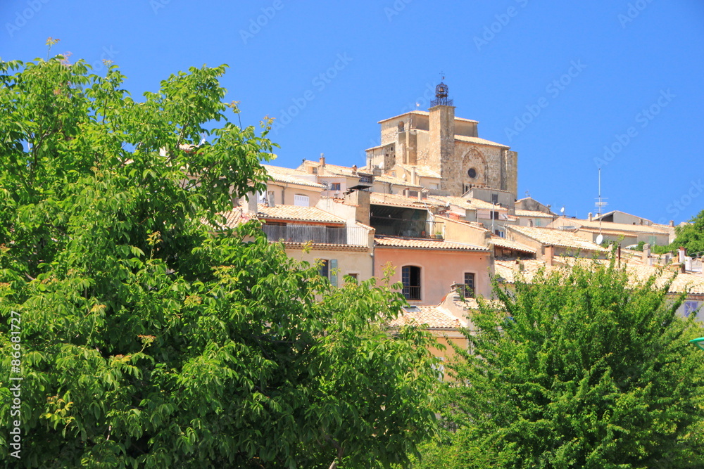 Lavanda in Provenza