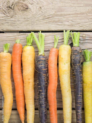 heritage carrot varieties