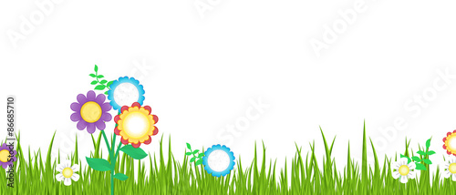 Spring Grass with Flowers