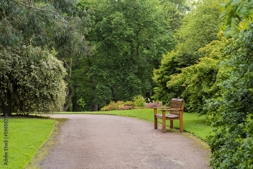 Wooden bench in a beautiful park
