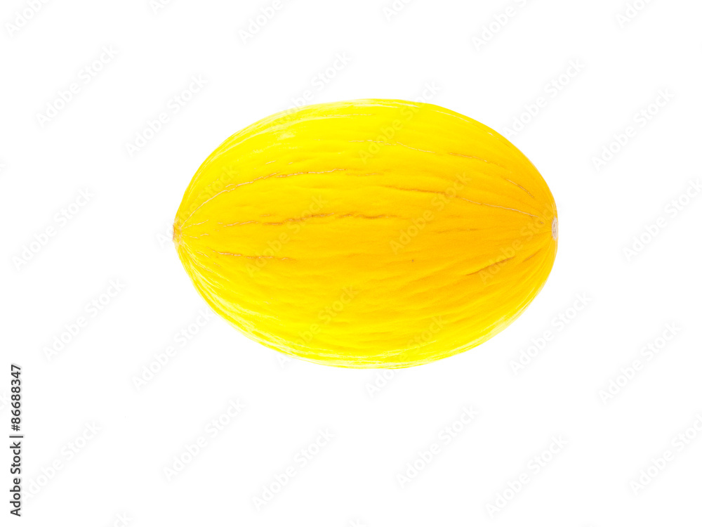 canary melon canary melon