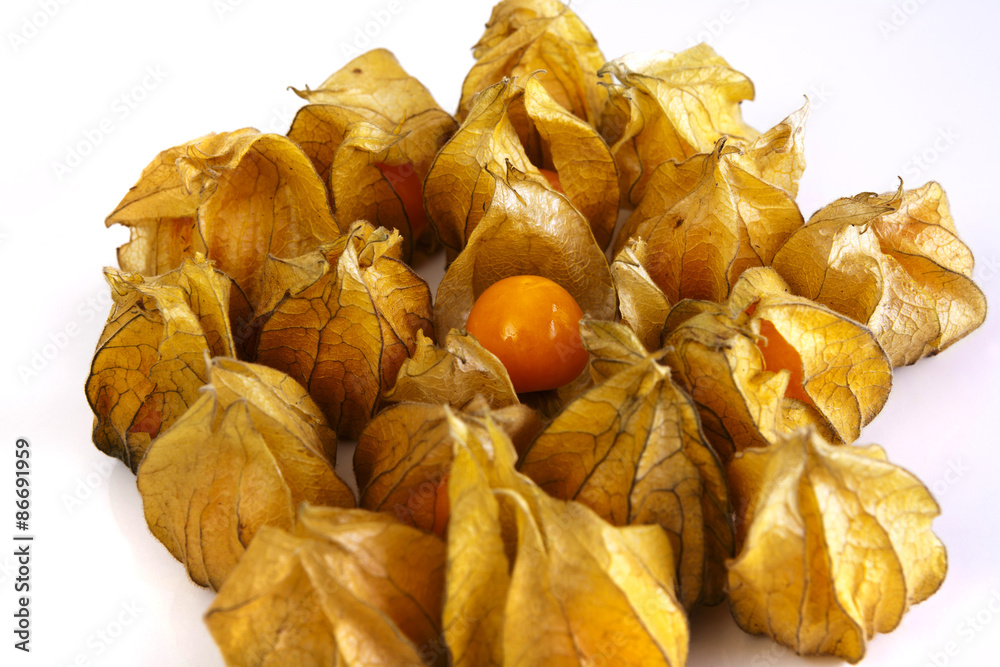 Physalis bunch shot close-up and from above at an angle on a white background