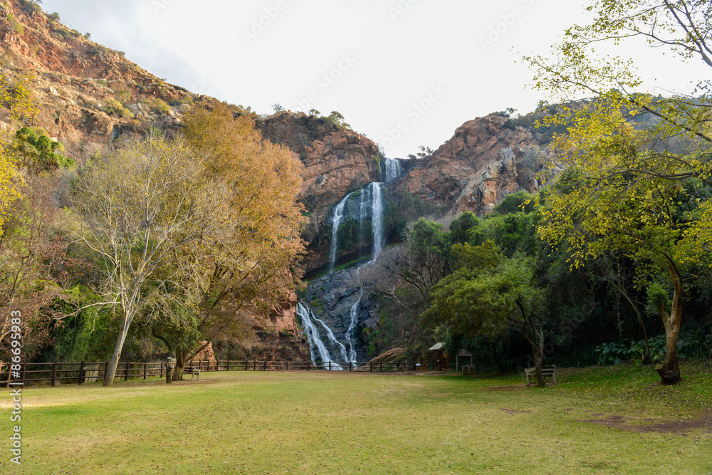 Obraz premium Walter Sisulu National Botanical Garden