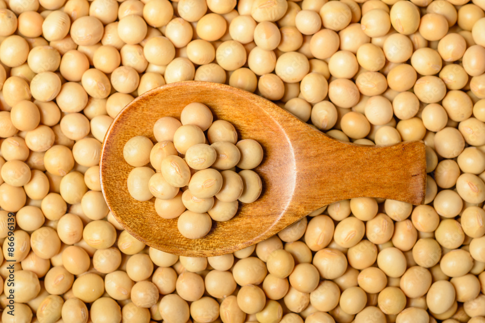 food background of yellow raw soybean, tilt shift lens food background of yellow raw soybean, tilt shift lens