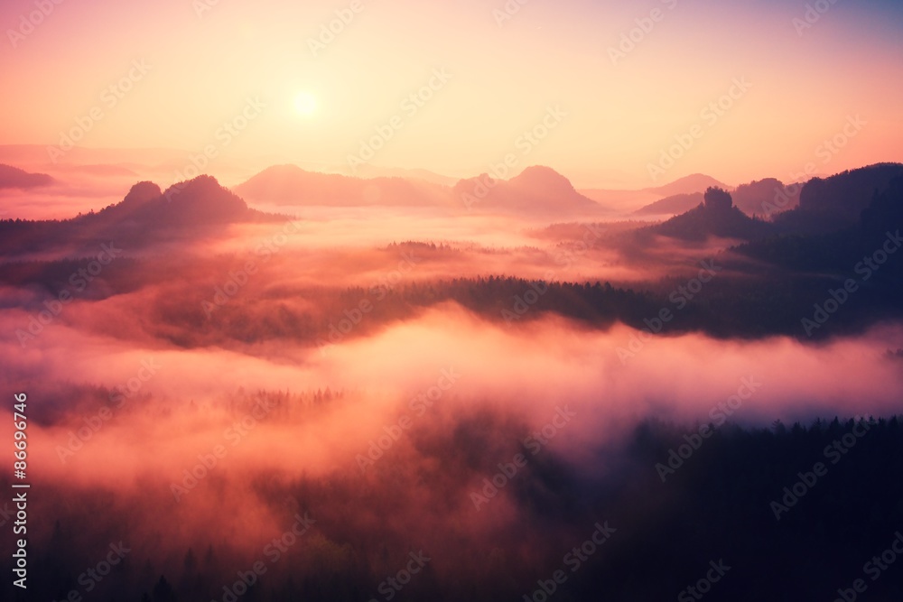 Misty daybreak in a beautiful hills. Peaks of hills are sticking out from foggy background, the fog is yellow and orange due to sun rays. The fog is swinging between trees.