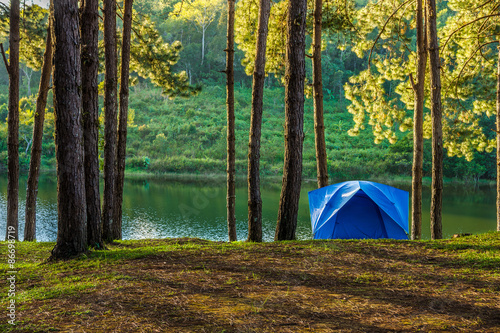 Vászonkép Blue tent for camping in forest of Huai Makhuea Som reservoir