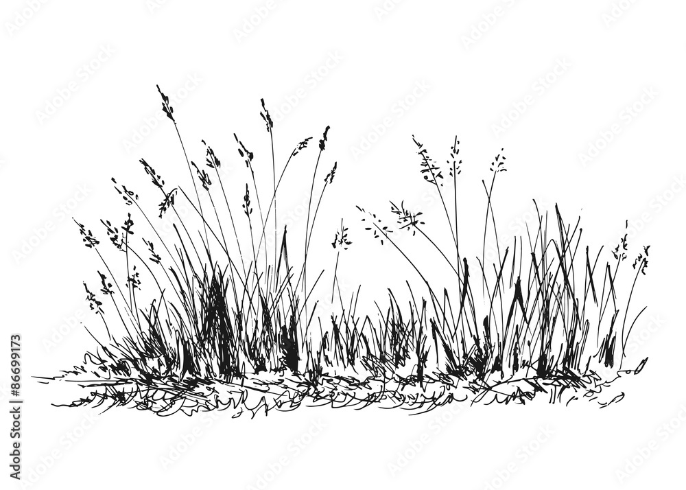 Hand sketch grass