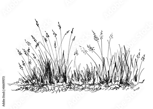 Hand sketch grass