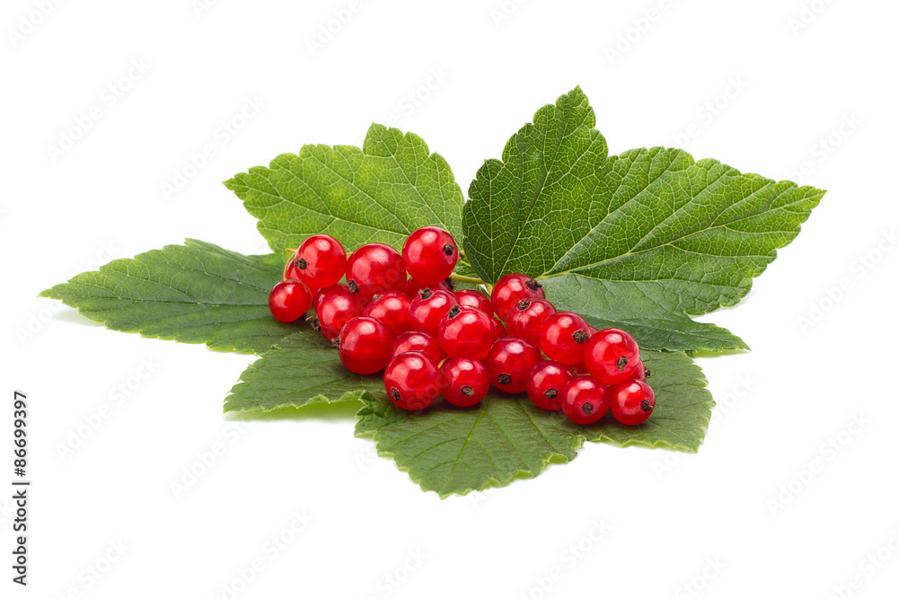 ripe red currant ripe red currant