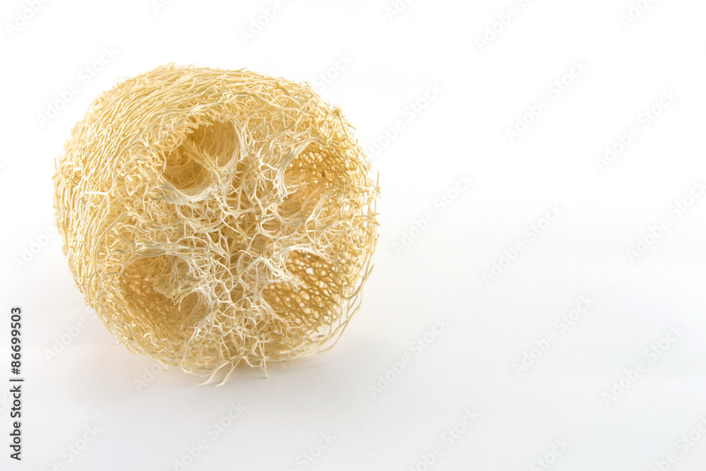 luffa luffa